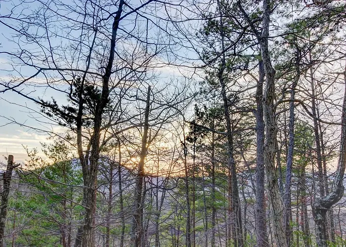 Misty View Cabin